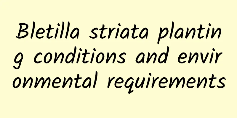 Bletilla striata planting conditions and environmental requirements