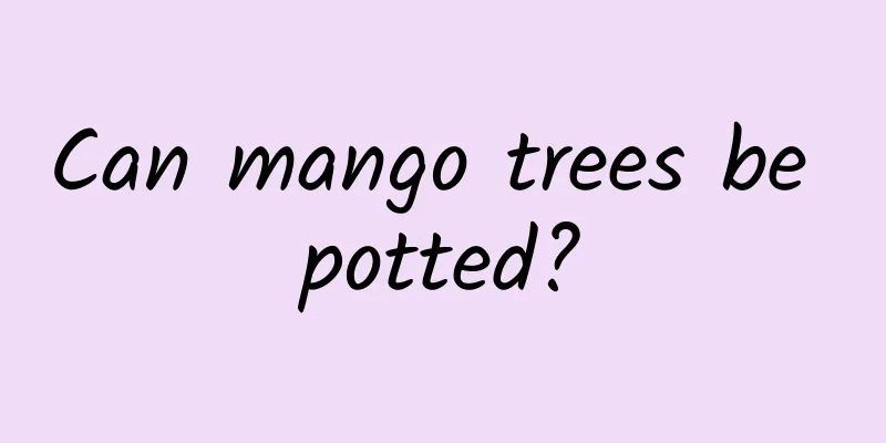 Can mango trees be potted?