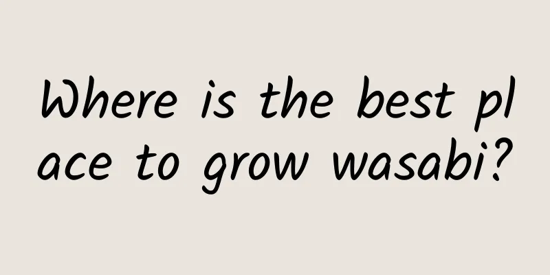 Where is the best place to grow wasabi?