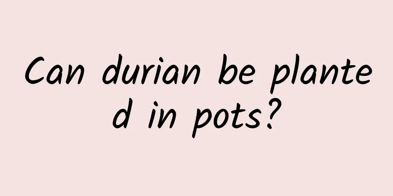Can durian be planted in pots?
