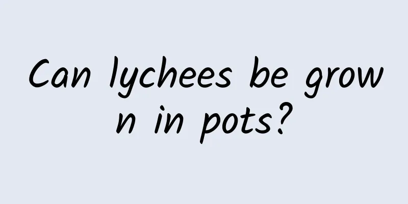 Can lychees be grown in pots?