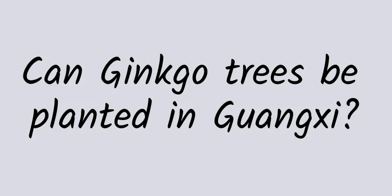 Can Ginkgo trees be planted in Guangxi?