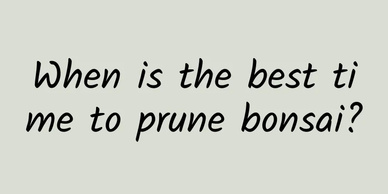 When is the best time to prune bonsai?