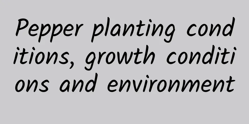 Pepper planting conditions, growth conditions and environment