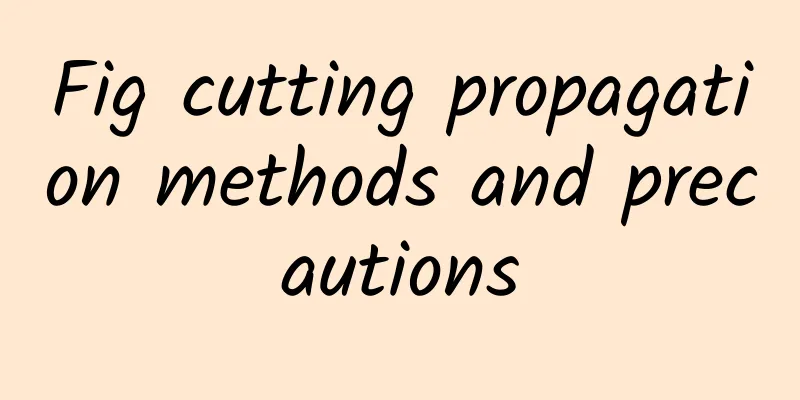 Fig cutting propagation methods and precautions