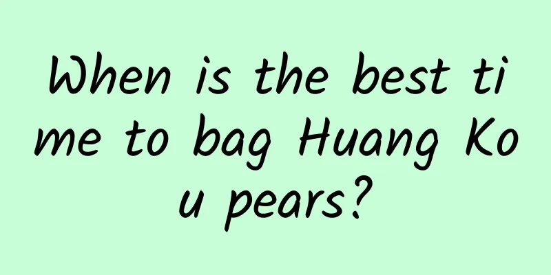When is the best time to bag Huang Kou pears?