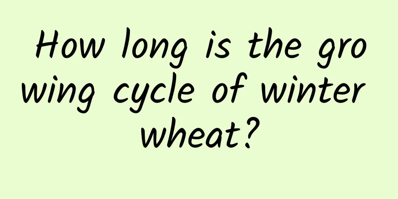How long is the growing cycle of winter wheat?