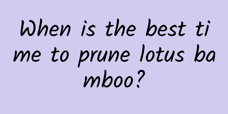 When is the best time to prune lotus bamboo?