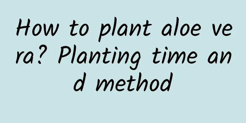 How to plant aloe vera? Planting time and method