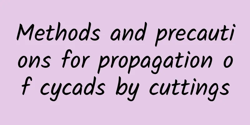 Methods and precautions for propagation of cycads by cuttings