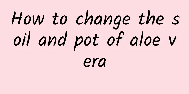 How to change the soil and pot of aloe vera