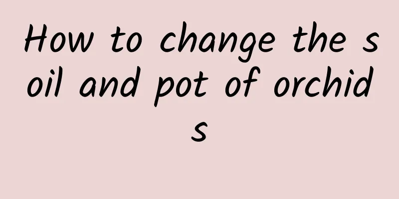 How to change the soil and pot of orchids