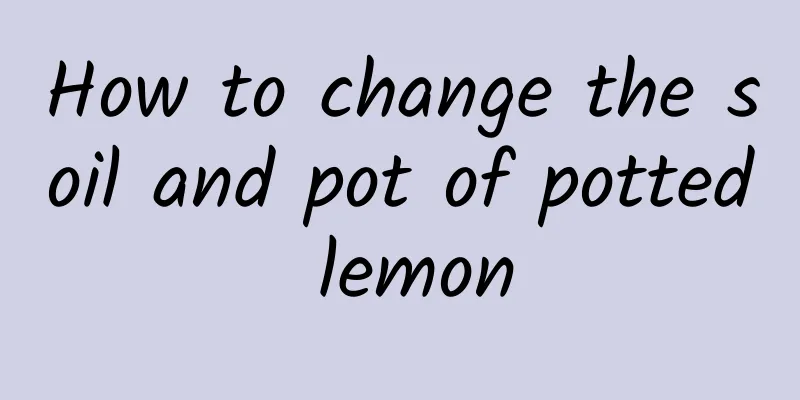 How to change the soil and pot of potted lemon