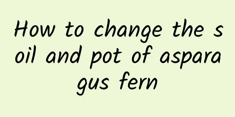 How to change the soil and pot of asparagus fern
