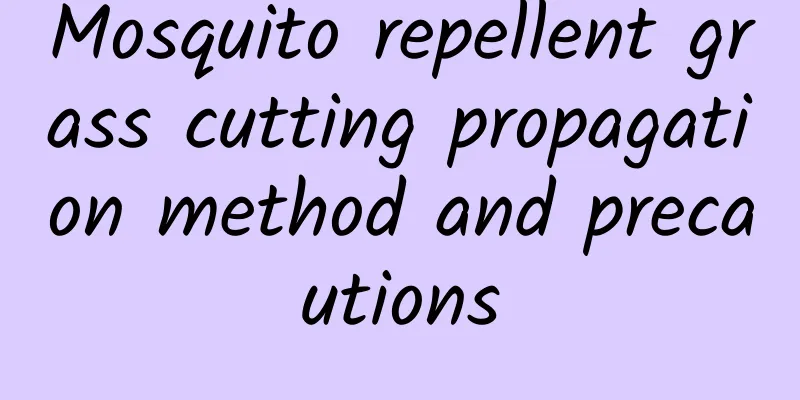 Mosquito repellent grass cutting propagation method and precautions