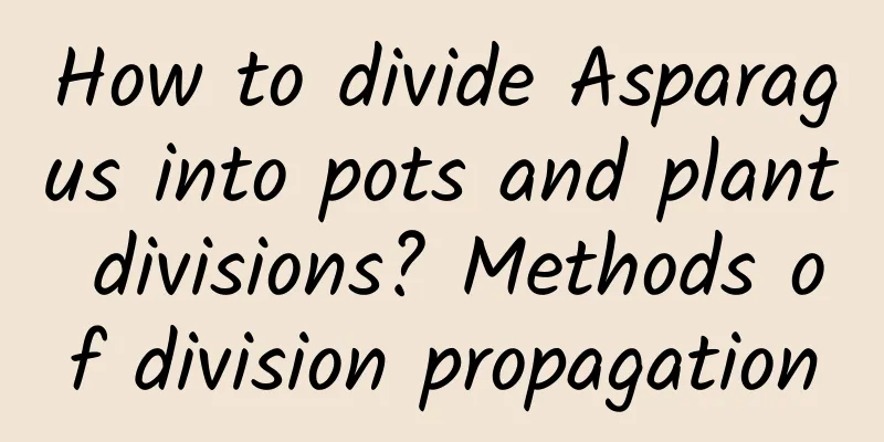 How to divide Asparagus into pots and plant divisions? Methods of division propagation