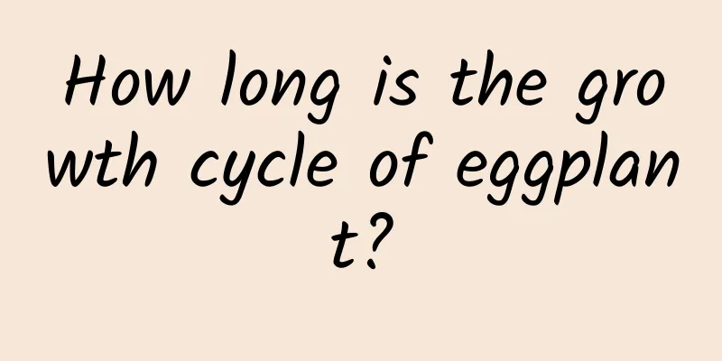 How long is the growth cycle of eggplant?