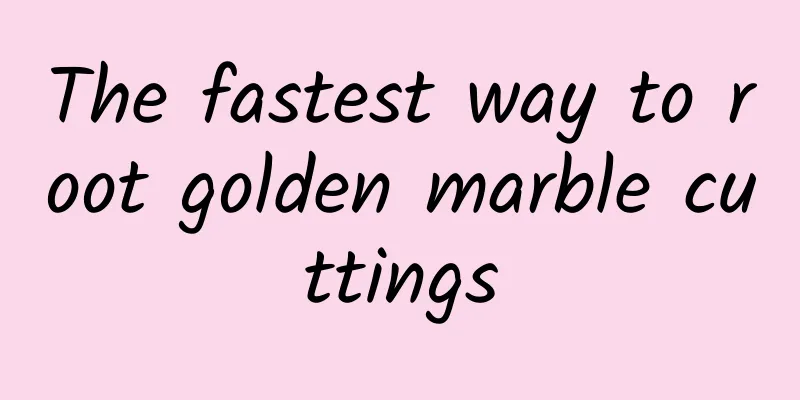 The fastest way to root golden marble cuttings