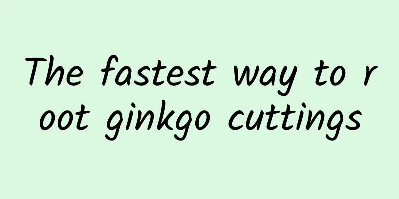 The fastest way to root ginkgo cuttings