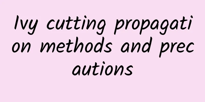 Ivy cutting propagation methods and precautions