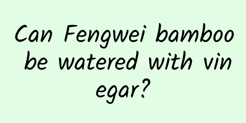 Can Fengwei bamboo be watered with vinegar?