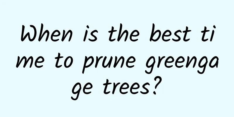 When is the best time to prune greengage trees?