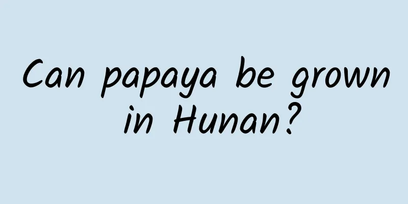 Can papaya be grown in Hunan?