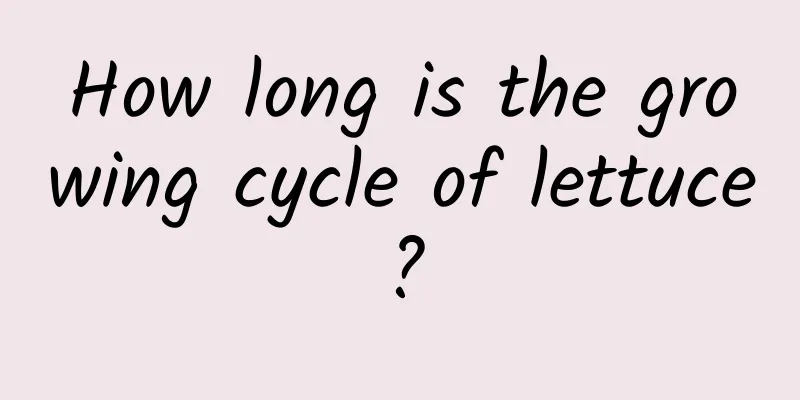 How long is the growing cycle of lettuce?