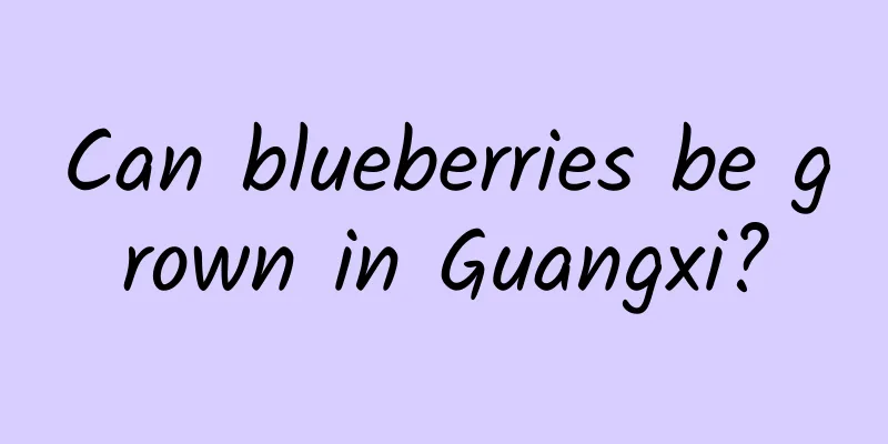 Can blueberries be grown in Guangxi?