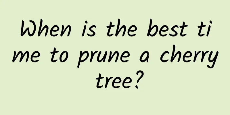 When is the best time to prune a cherry tree?