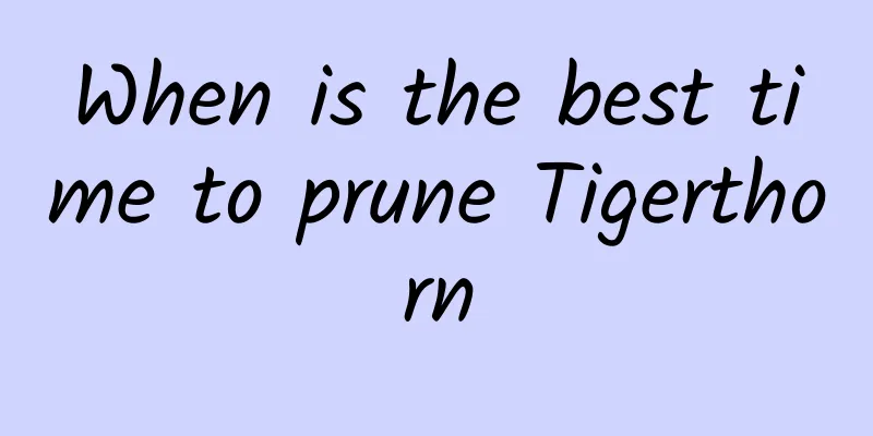 When is the best time to prune Tigerthorn