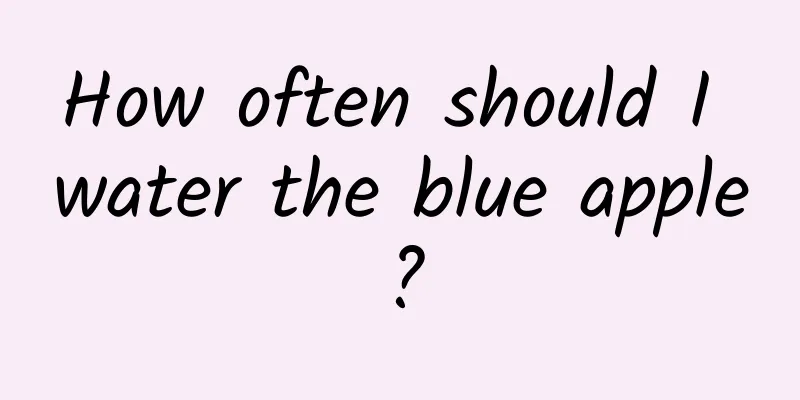 How often should I water the blue apple?