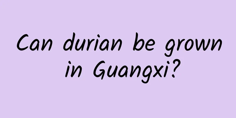 Can durian be grown in Guangxi?