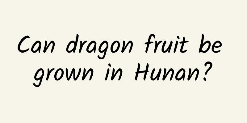 Can dragon fruit be grown in Hunan?