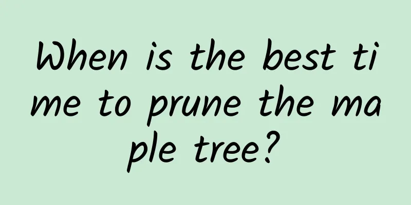 When is the best time to prune the maple tree?