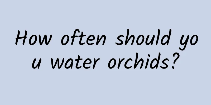 How often should you water orchids?