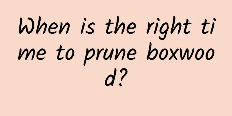 When is the right time to prune boxwood?