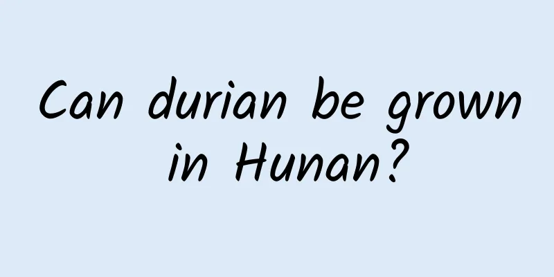 Can durian be grown in Hunan?