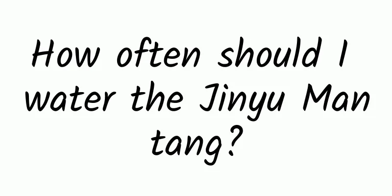 How often should I water the Jinyu Mantang?