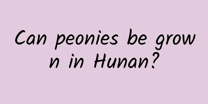 Can peonies be grown in Hunan?