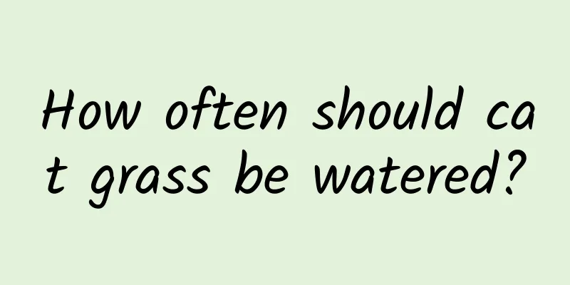 How often should cat grass be watered?