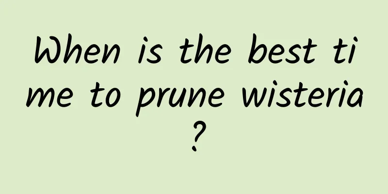 When is the best time to prune wisteria?