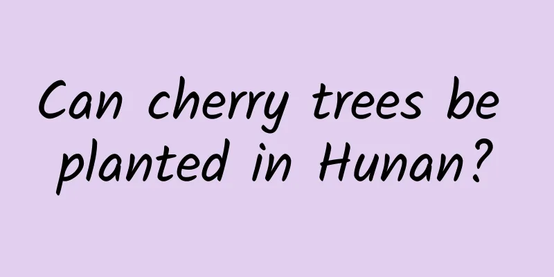 Can cherry trees be planted in Hunan?