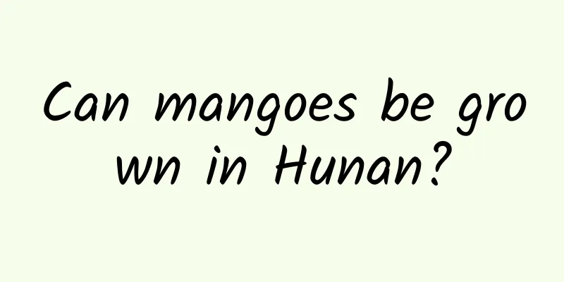 Can mangoes be grown in Hunan?