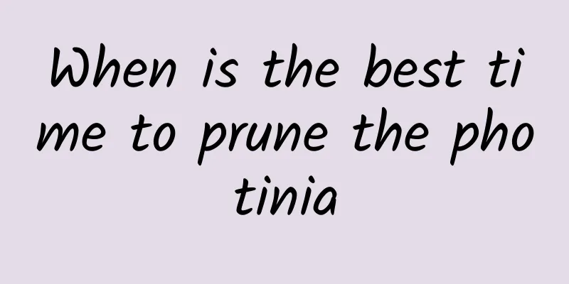 When is the best time to prune the photinia