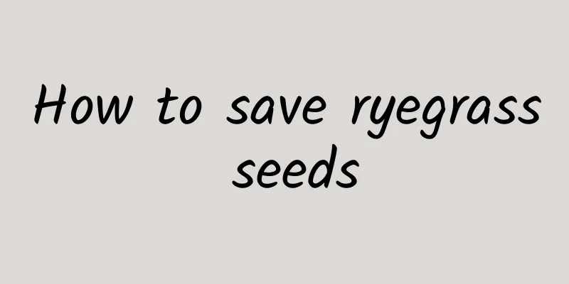 How to save ryegrass seeds
