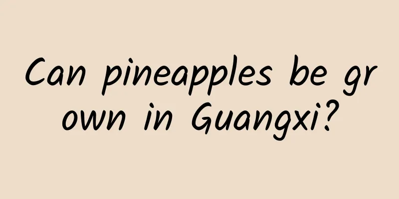 Can pineapples be grown in Guangxi?
