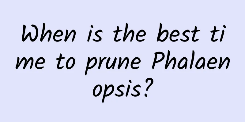 When is the best time to prune Phalaenopsis?