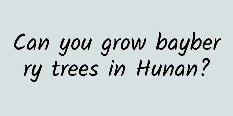 Can you grow bayberry trees in Hunan?