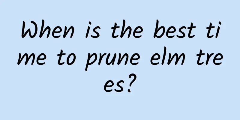 When is the best time to prune elm trees?
